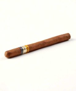 cohiba panetelas 5