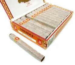 Fonseca cosacos x25 caja