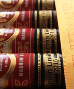 H Upmann Magnum 56 EL 2015 closeup