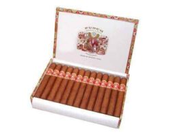 Punch Punch 3 punchpunch25