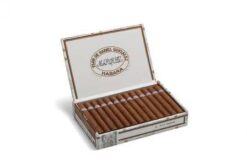 Rafael Gonzales Pettit Coronas 7 rafael gonzales pettit coronas 5191