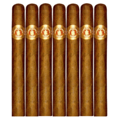 Ramon Allones Coronas