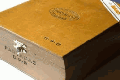 Saint Luis Rey Double Coronas 7 untitled