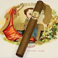 bolivar corona