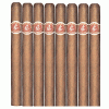 La Flor De Cano Diademas